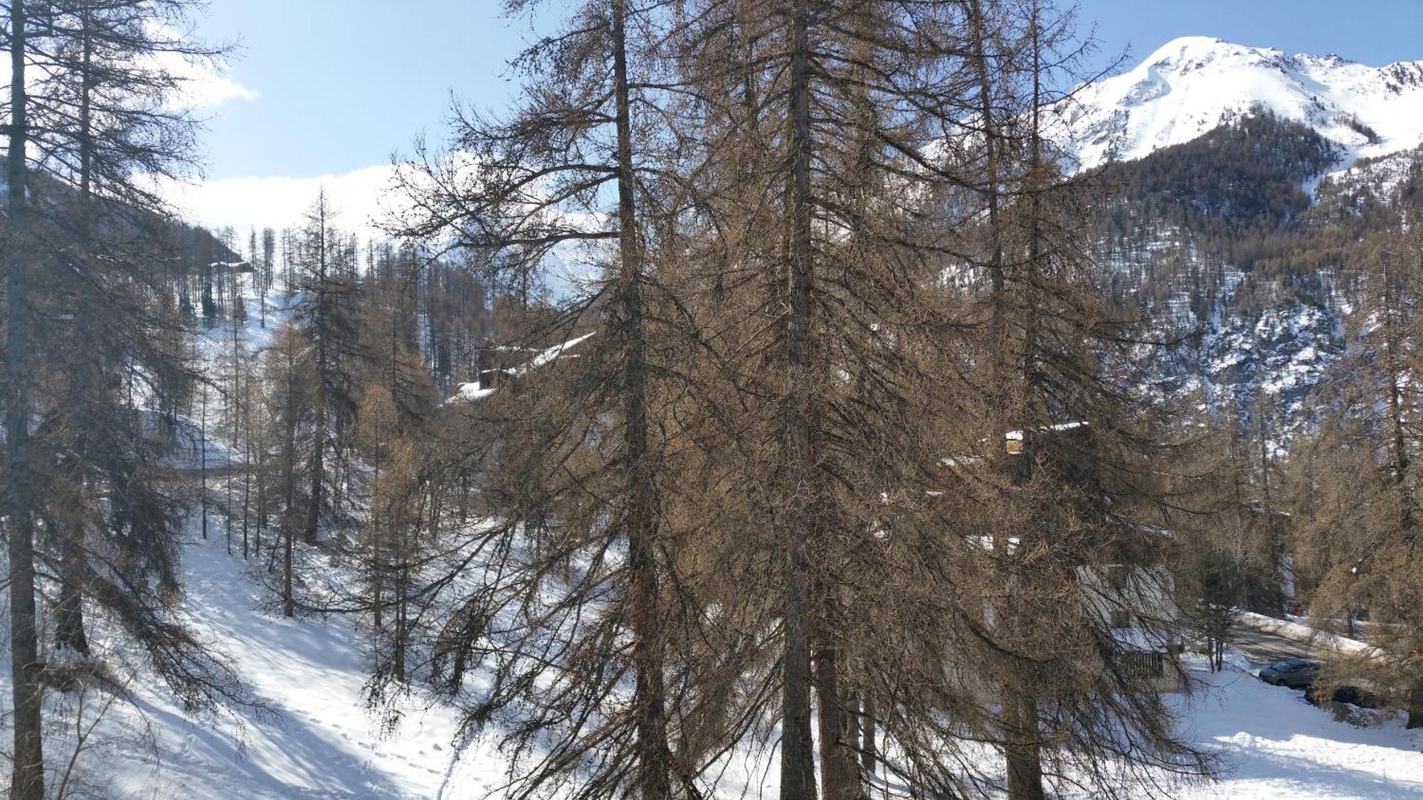 Le Lodge Des Marmottes - Calme, Cosy, Vue Nature Les Orres Bagian luar foto